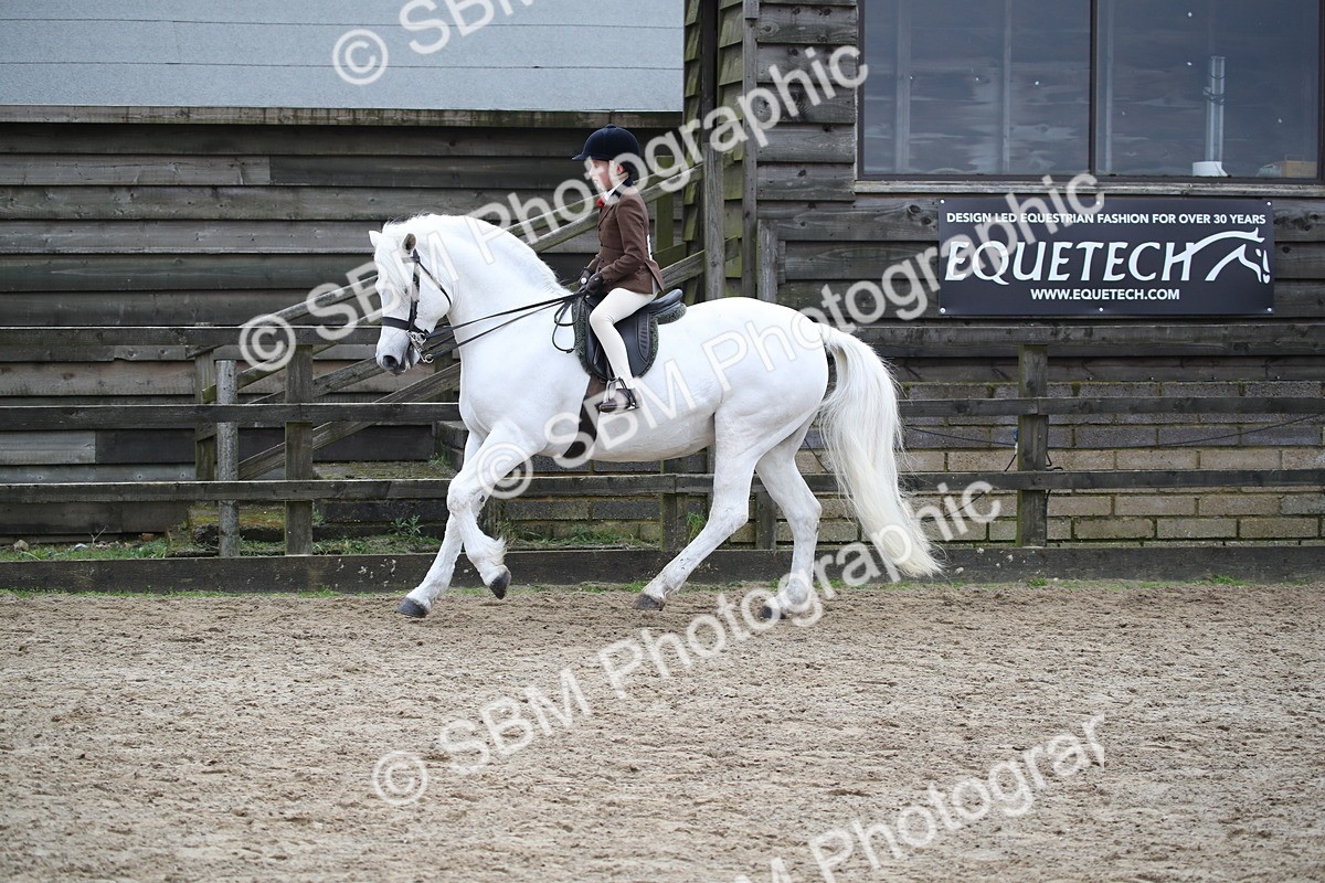 SBM_006147 - Class 10-13 - RIHS Small Large Breeds