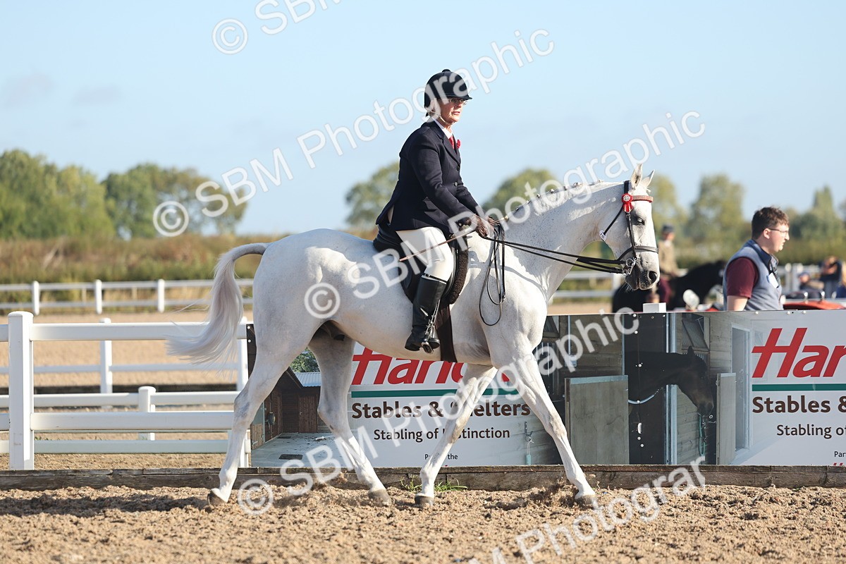 SBM_22104 - Class 801 - Ridden Veterans