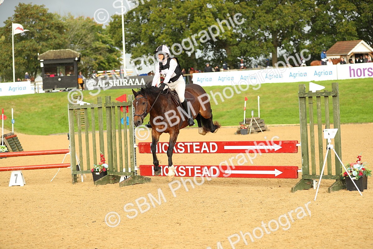 SBM_11415 - E8 Eventers Challenge 80cm Championship