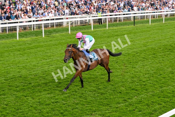 170524-Race 5-Lead Artist-8331 - Race 5 4.15pm  Darley EBF Novice Stakes