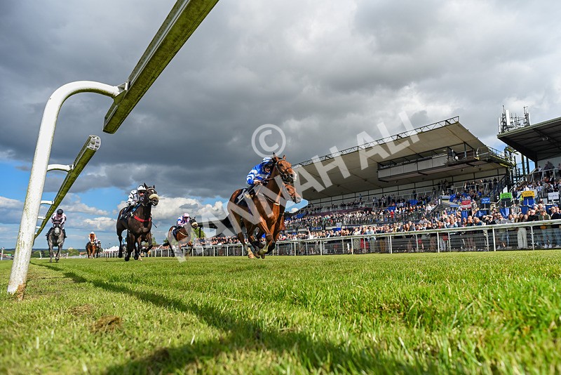 080624-Race 7-This Years Love-0688 - Race 7