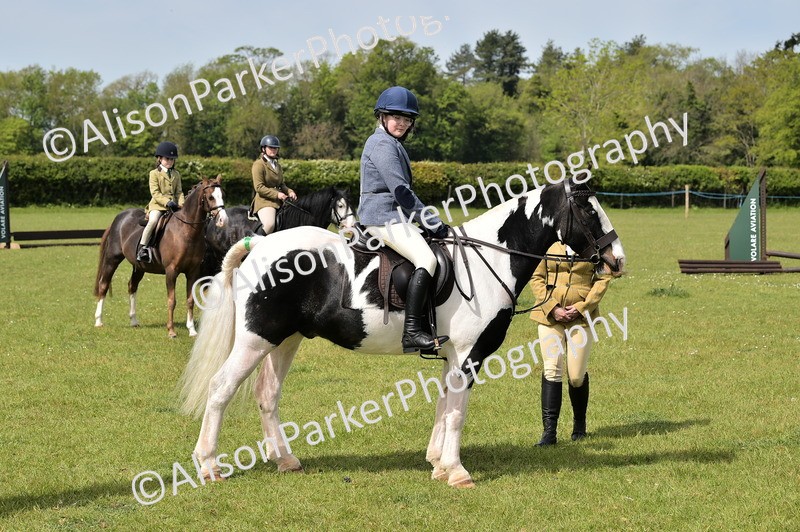 20260426-2325 - Class 20 - Beginner Working Hunter