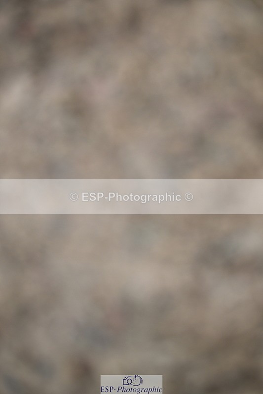 240608A-123241-00926 - Cls 9 Pony BN Jump Off and Presentations