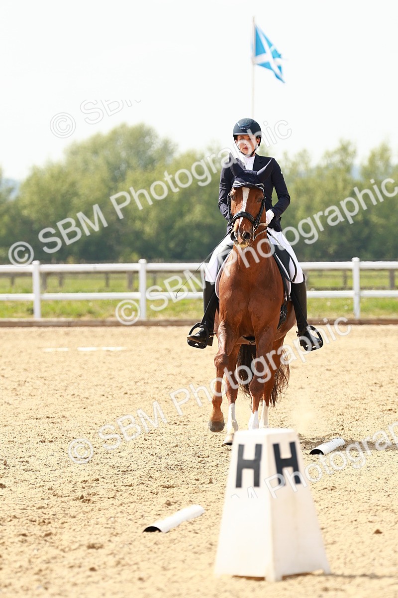 SBM_002963 - Class 13 - Medium 5