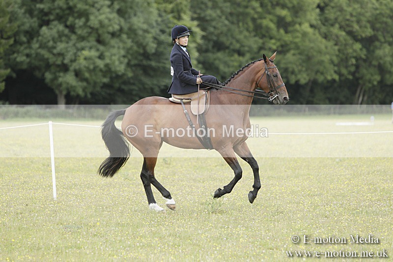 BVR160717-2360 - Side Saddle Classes 16/07/17