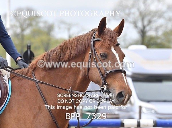 BPP_7329 - CLASS 8 FRI 1.05m Amateur Championship Qualifier