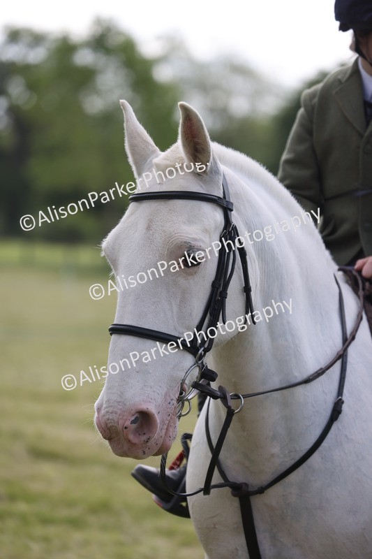 20260614-0764 - Class 20 - Beginners Working Hunter Pony