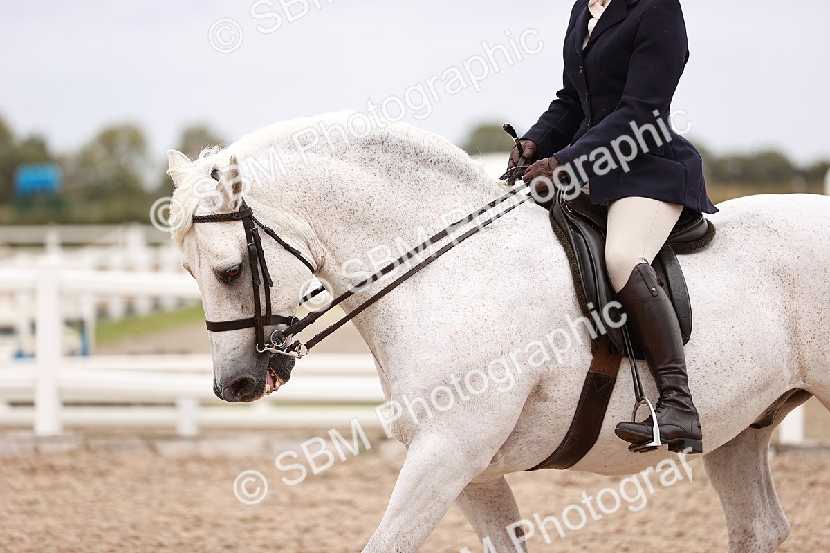 SBM_19010 - Class 422 - Ridden M&M