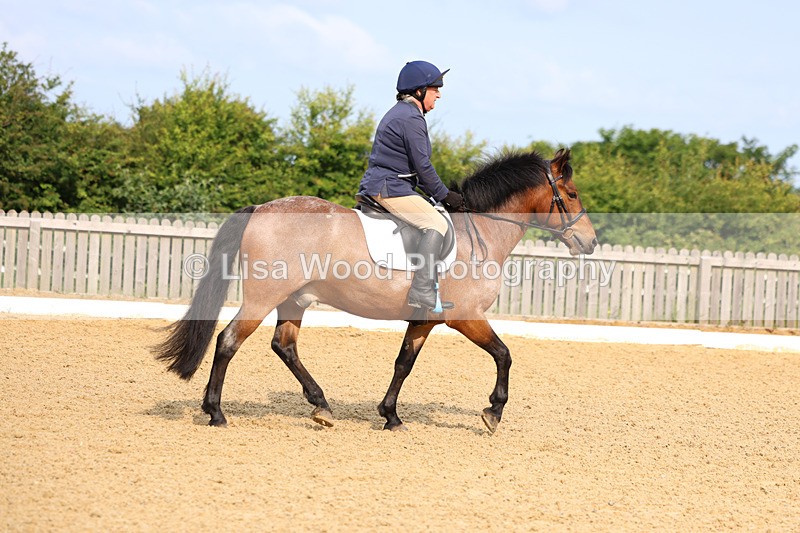 3E7A8609 - Class 1: Intro 1 2024 Section A