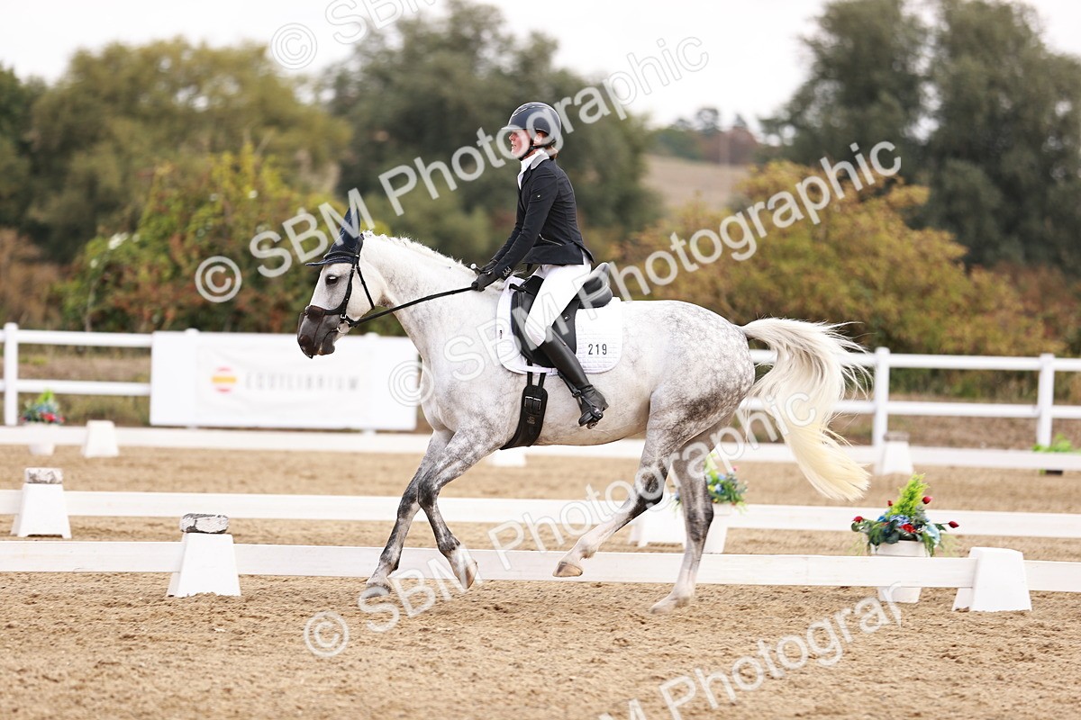 SBM_018008 - Class 15 - Prelim 6