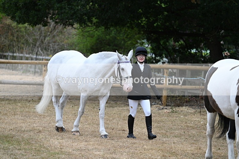 WJ7_8684 - Class 4a Prettiest Mare 14.2hh and over