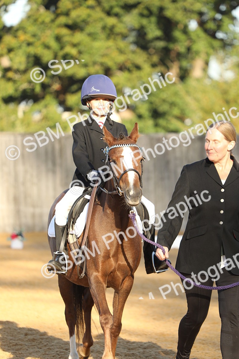 SBM_33641 - D26 - Starers - Lead Rein