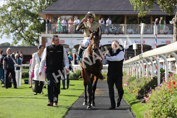 yr20082022r7-41 - Race 7 5.20pm Sky Bet Finale Stakes