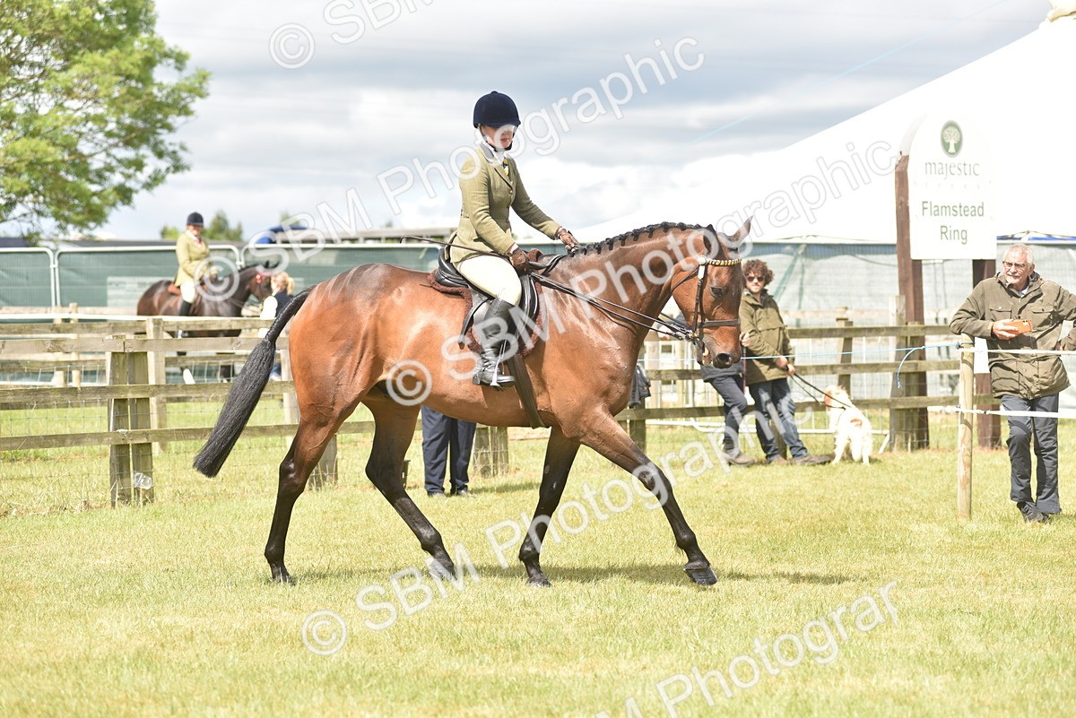 SBM_15087 - Class 113-114 - Retraining of Racehorses Ridden