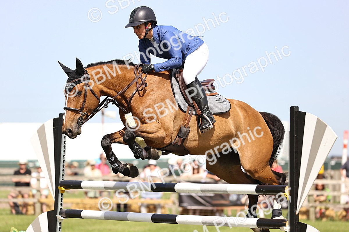 SBM_03044 - Class 201 - British Horse Feedds Speedi Beet HOYS Grade C