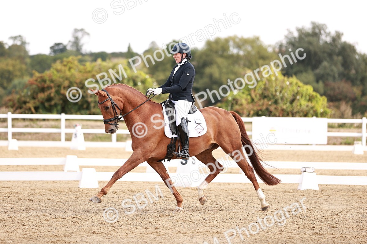 SBM_017679 - Class 11 - Advanced Medium 6