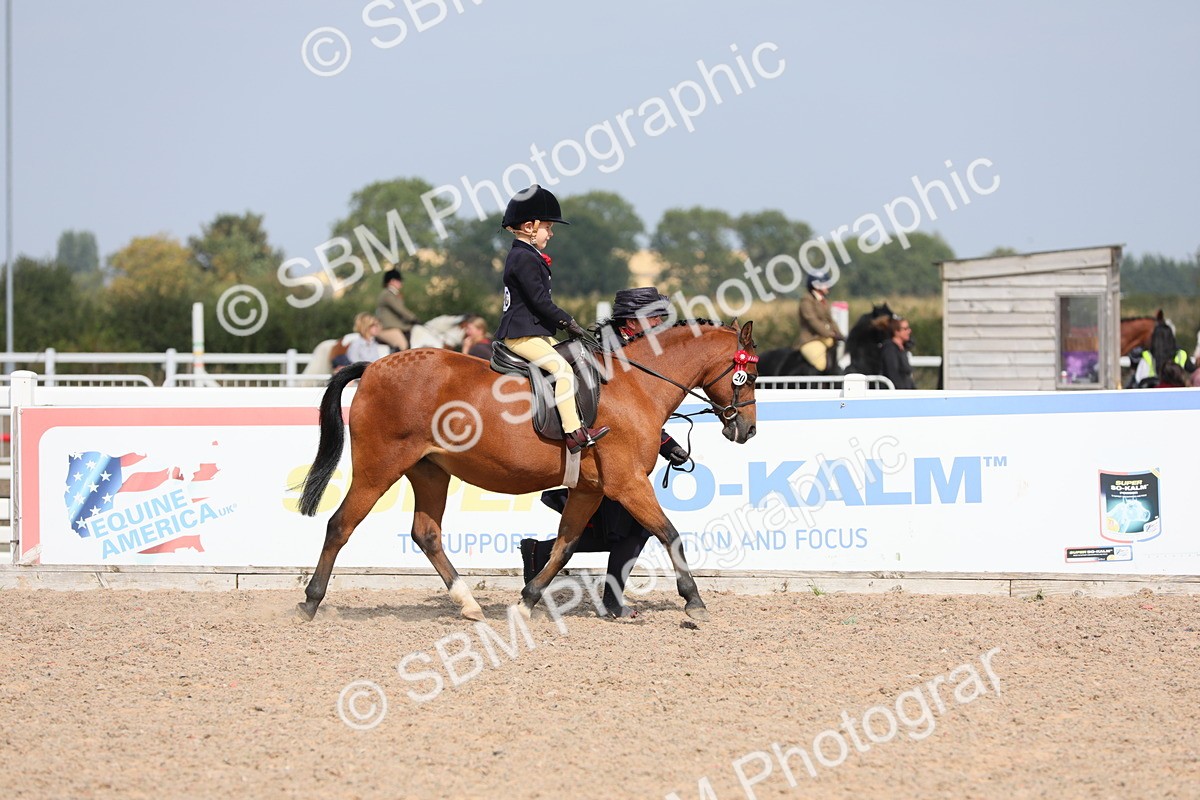 SBM_14058 - Class 309 Lead Rein Pony