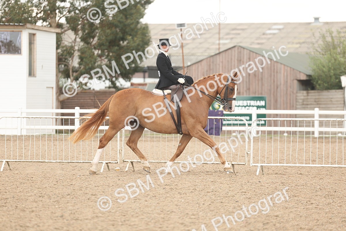 SBM_06323 - Class 23 - SSA - Classical