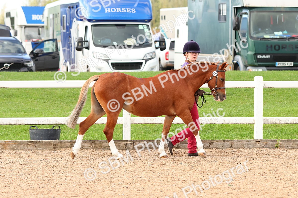 SBM_09175 - Class 204 - Young Handler