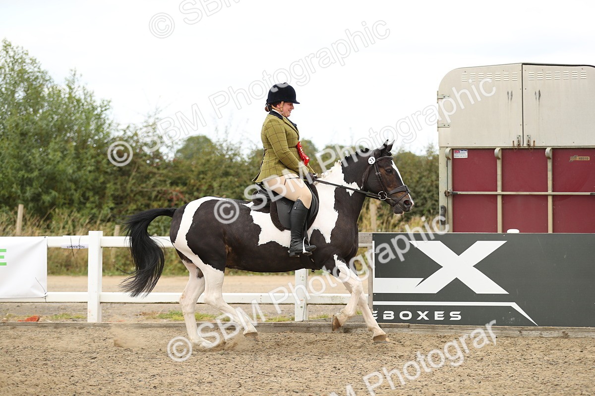 SBM_05292 - Class 47b Style & Performance 60cm (20+)