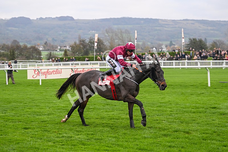 151124-Race 4-Conflated-8278 - Race 4