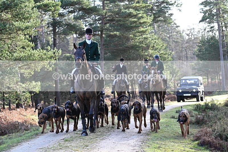 WJ7_7696 - Line 3 (no line 4 or 5)