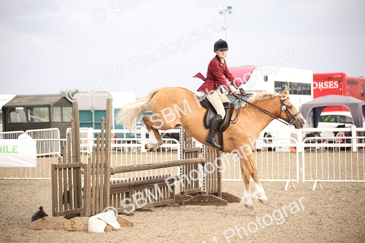 SBM_17257 - Class 410a - Wor5king Veteran 90cm (15-19)