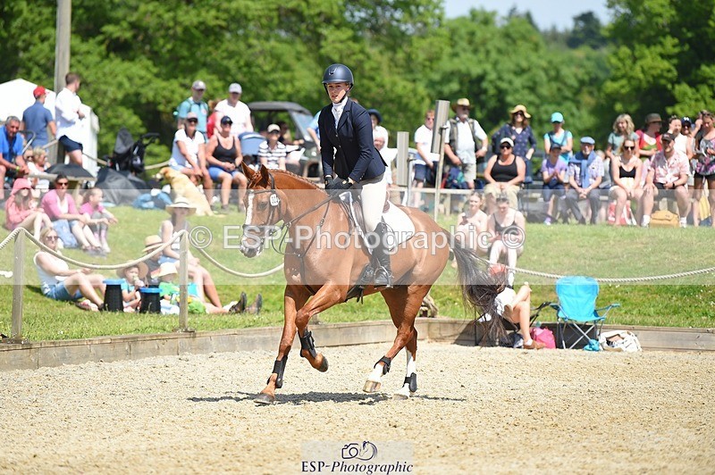 230528-113320-15260 - 323-CHESTNUT_BOBBY-Molly_Fletcher-SUNTrotUp+SJ