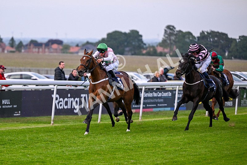 160626-Race 5-Anificas Beauty-5218 - Race 5 20.30pm Churchill Tyres Handicap