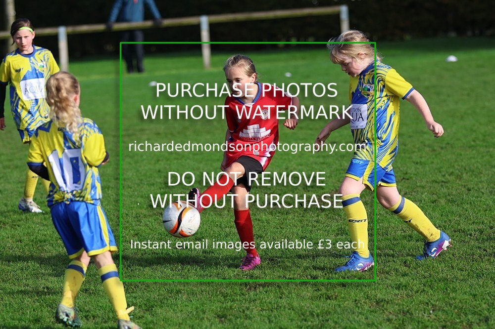 533A3647 - Halton Girls U9 (11/10/26)