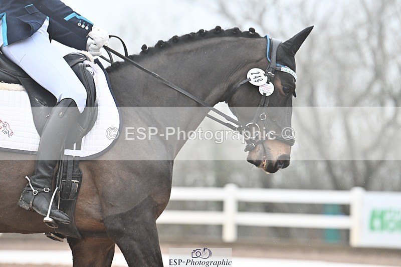 250215-105605-03111 - 249-Alys.Matravers-VORVASHILL.VERTIGO