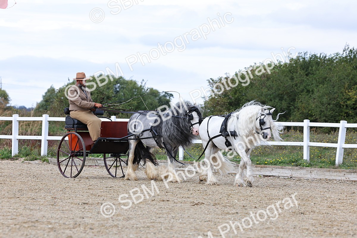 SBM_001133 - Class 16 - Pairs ,Multiples and Tandems