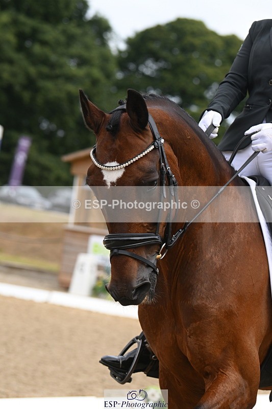 250719A-102830-03393 - 143-Danielle.Thackray-Trevoulter.Mega.Mix.Two