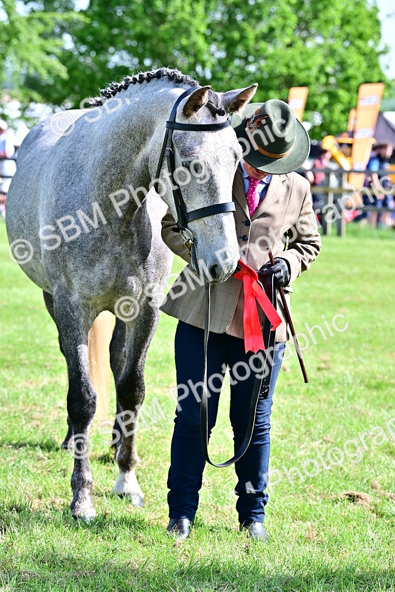 SBM_03344 - Class 50 - 54 Light Horse Breeding