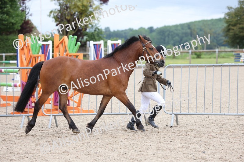 20250524-0014 - Class 1 - Best Condition