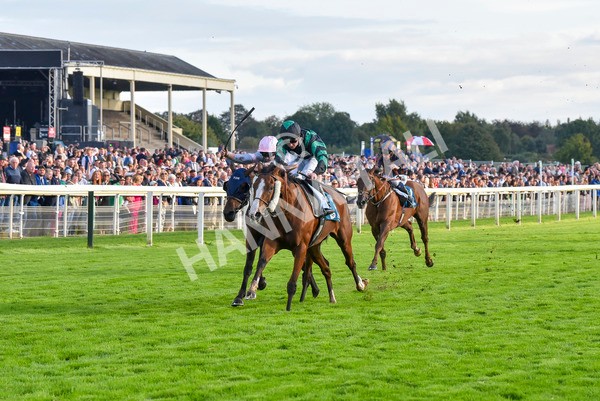 230923-Race 6-September Power-7019 - Race 6 4.55pm New To York Rio Brazilian Handicap