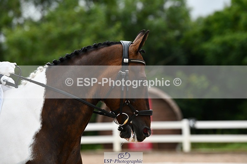 250705-164138-05632 - E1 Section BDE1 16.02 to  to 16.58