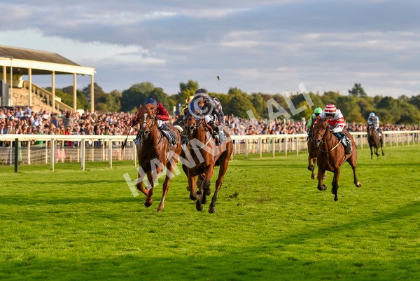 230923-Race 7-Two Brothers-7180 - Race 7 5.30pm Neil Atkinson's 60th Birthday Celebration Handicap