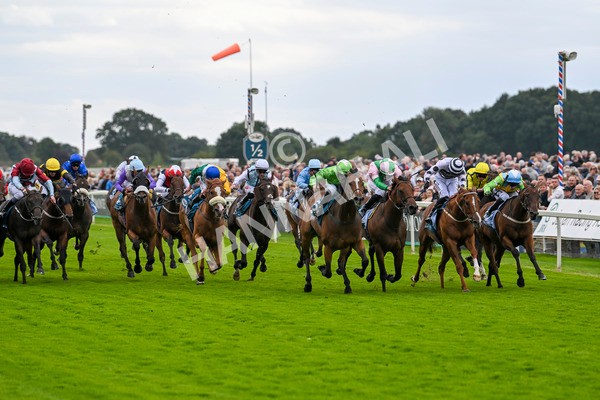 210824-Race 1-Jm Jungle-4490 - Race 1 1.50pm Symphony Group Handicap