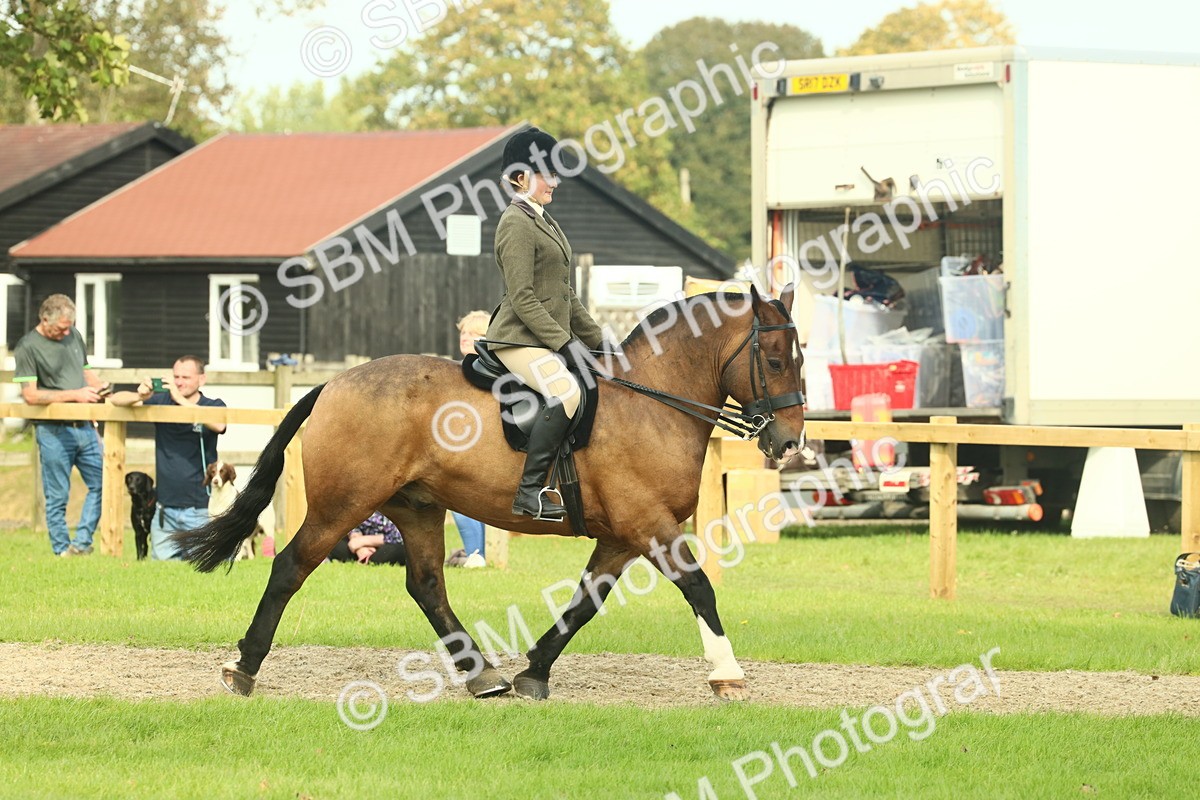 SBM_68200 - S58 - Mini Show Cob Ridden