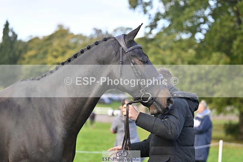 251025A-090449-17736 - A-004-Max.Warburton