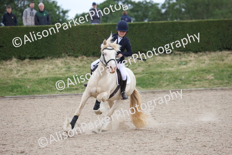 20250526-0641 - Class 3 - 60cm