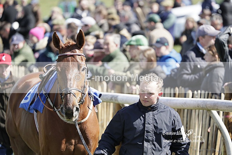 PtP 100423 467 - Old Berkshire Point-to-Point Lockinge 10/04/23
