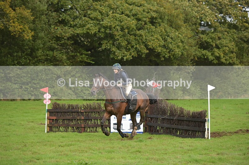 RAY_0635 - Class 5: 90cm Double of Brushes