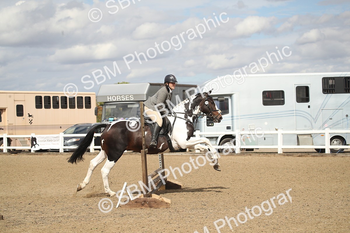 SBM_15236 - Class 506a - Working Veteran - 50cm (15-19)