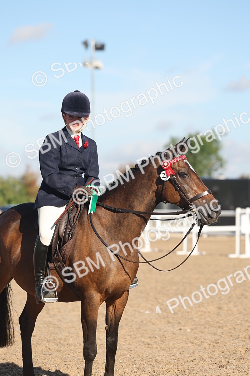 SBM_12260 - Class 303 - Ridden Pure Bred Horse Pony