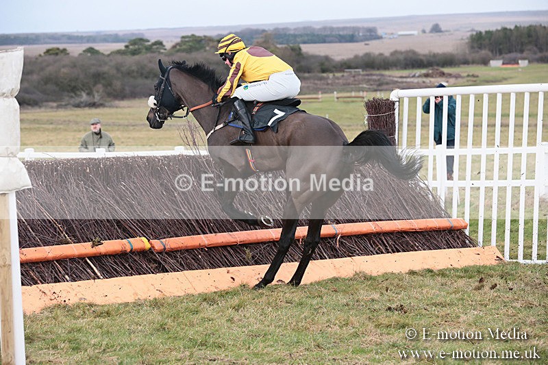 PtP 230119 183 - Royal Artillery Point-to-Point  - Larkhill  - 26/01/19