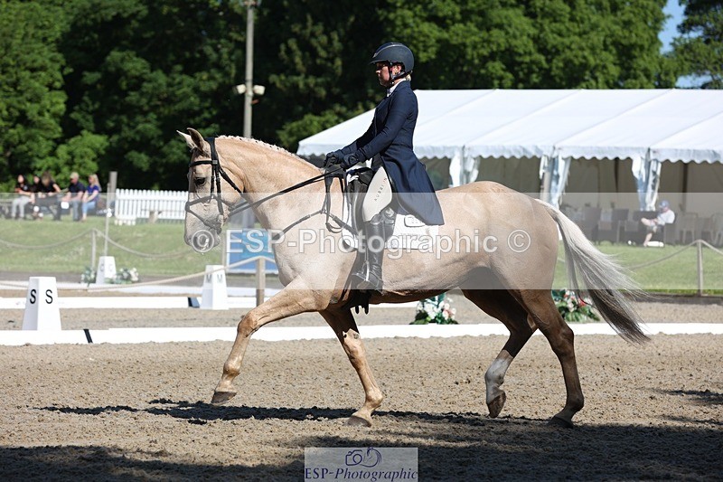 230526-093453-05103 - 356-THE_DUMB_BLONDE-Kat_Raybould-WEDTrotUp+DR