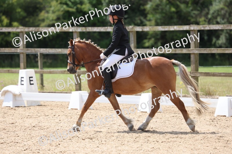 20250614-0610 - Class 5 - Novice 3