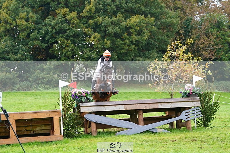 251025A-103532-17120 - D-354-Poppy.Burner